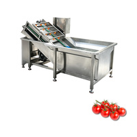 Machine à laver les fruits et légumes à l'ozone industrielle 220V 50Hz 1Phase 0.37KW