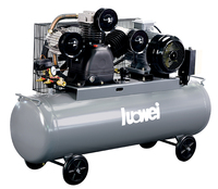 Compresseur d'Air à Piston OEM Luowei avec Pompe en Fonte, Entraînement par Courroie, Monophasé, 0,75~15KW, 8 bars