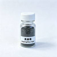 Poudre de spores de champignons Aspergillus Niger pour stimuler la lactation, 5 milliards d'UFC/g, additif alimentaire pour l'alimentation des vaches laitières et des chèvres laitières