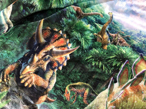 Super morbida <span class=keywords><strong>e</strong></span> calda coperta di dinosauro per i bambini a maglia con motivo a punti regalo perfetto per i ragazzi - Product Image 6