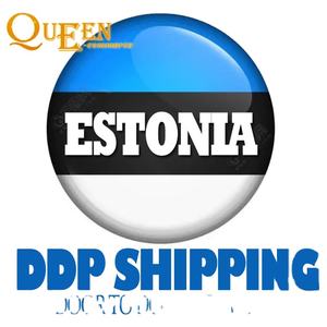 Agent de transport de logistique internationale à bas prix en Chine Ddp Services d'expédition vers le Pérou Indonésie Egypte Agent de transport - Product Image 3