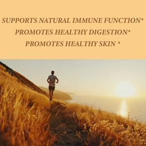 แคปซูลมะละกอ OEM ODM สารต้านอนุมูลอิสระ บำรุงผิวพรรณให้แข็งแรง บำรุงสุขภาพลำไส้และระบบย่อยอาหาร เสริมสร้างภูมิคุ้มกัน สำหรับผู้ทานมังสวิรัติ ปราศจาก GMO - Product Image 3