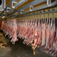 Projet de stockage frigorifique pour la viande de mouton, destiné aux abattoirs et aux usines de transformation de la viande