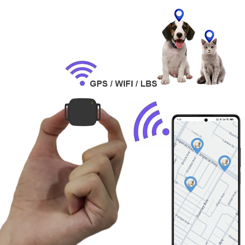 Collar Localizador GPS Para Gatos Y Perros Pequeños - Lunaobrik - Impermeable IP67 Y Batería De Larga Duración (12 Meses En Espera) - Seguridad Para Mascotas