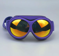 Lunettes de ski anti-buée double couche coupe-vent pour enfants et adolescents RD-73011 avec lentilles optiques polarisées