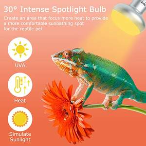 LUCKY HERP Lampe chauffante pour reptile, ampoule UVA intense pour reptile, ampoule chauffante pour reptile <span class=keywords><strong>lumière</strong></span> du jour pour réchauffer - Product Image 6
