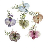 25036 untuk Perlengkapan Bunga Pernikahan Lintas Negara, Phalaenopsis, Upacara Pembukaan, Boutonniere Tamu, dan Bunga Pergelangan Tangan