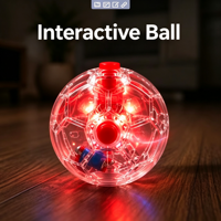 Jouet pour chien, balle interactive transparente et colorée, résistante aux morsures, pour chiens de petite, moyenne et grande taille