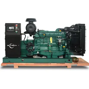 3 Fasen 160kw Elektrische Generator 200kva Diesel Generator Prijs Aangedreven Door Volvo Penta Motor TAD732GE