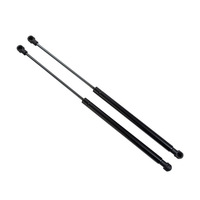 Paire de vérins à gaz de hayon pour PEUGEOT 207 2006-2013 Cylindre en acier et acier au carbone Style 8731L7