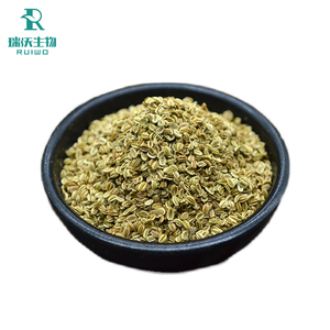 天然純粋食品グレードオストホール98% クニジウムモンニエリハーブエキス粉末 HPLC試験済み - Product Image 3