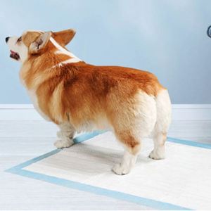 Productos Novedosos 2024, Pañales Absorbentes para Mascotas a Precio de Fábrica en China, Almohadillas de Entrenamiento Desechables para Mascotas, Tamaño Personalizado - Product Image 2