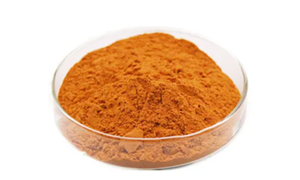 Nhà Máy bán hàng trực tiếp của chất lượng cao và giá thấp tinh khiết tự nhiên cấp thực phẩm 40% sanguinarine <span class=keywords><strong>macleaya</strong></span> <span class=keywords><strong>Cordata</strong></span> chiết xuất bột - Product Image 2