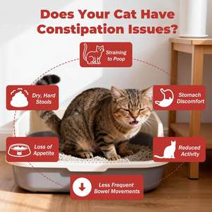 Suavizante de <span class=keywords><strong>Heces</strong></span> para Gatos con Estreñimiento, 12g*30 Barras, Fórmula Natural y Suave que Promueve la Motilidad Intestinal, Contiene Ingredientes Saludables - Product Image 5