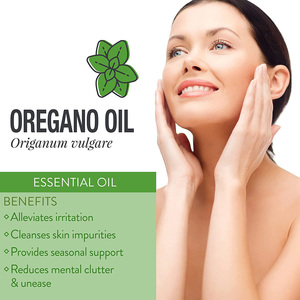 Fornitori di Olio Essenziale di Origano 100% Puro Vegano di Grado Alimentare Olio di Origano Selvatico con Alto Contenuto di Carvacrol - Product Image 4