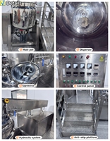 Mélangeur émulsifiant sous vide industriel pour sérums, crèmes et lotions, avec pot de mélange d'huiles en option et homogénéisateur à cisaillement élevé