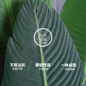 Grand arbre à monnaie artificiel, plante d'intérieur <span class=keywords><strong>en</strong></span> plastique, arbre artificiel pour la décoration intérieure, personnalisable, fabriqué <span class=keywords><strong>en</strong></span> Chine - Product Image 5