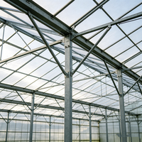 Serre multi-travées moderne en panneaux de polycarbonate et structure en acier pour élevage de poulets, usage agricole et culture de plantes à forte luminosité