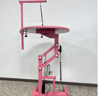 Table de toilettage pour animaux de compagnie à hauteur réglable électriquement, station de toilettage professionnelle pour chiens et chats, pour la maison, le salon, la clinique