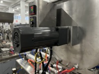 Remplisseuse semi-automatique multi-têtes à piston avec trémie agitée pour sauces piquantes, confitures, mayonnaises et crèmes alimentaires