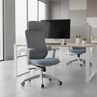 Chaise de bureau exécutive ergonomique moderne en maille de nylon réglable, accoudoirs 3D ajustables, base en aluminium, 4 vérins à gaz, pivotante 3 positions