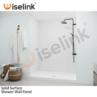 Panneaux muraux de salle de bain de conception minimaliste de feuille de Surface solide en marbre de haute qualité pour l'utilisation de divertissement d'entourage de douche d'hôtel/maison