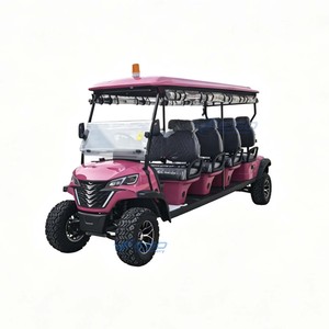Véhicule utilitaire électrique 3-4 places en promotion, certifié CE, batterie au plomb-acide, transport spécial / véhicule électrique - Product Image 6