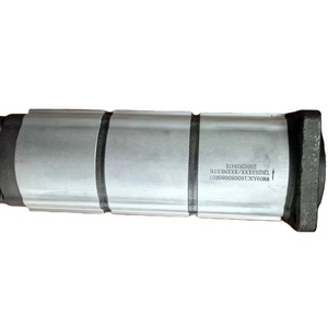 Repuestos para Maquinaria de Construcción WA09A3C1600800 Bomba de Engranajes de Tres Etapas Marca Yuanyi 6 Meses de Garantía Shandong China - Product Image 1