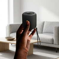 Haut-parleur Bluetooth H5 de haute qualité en gros pour usine, enceinte radio sans fil, caixas de som
