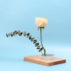 Kenzan Japonés <span class=keywords><strong>de</strong></span> Plástico <span class=keywords><strong>de</strong></span> 70 mm para Ikebana, Soporte Redondo para Flores con Logotipo Personalizado, Kit <span class=keywords><strong>de</strong></span> Inicio para Bonsái para Amantes <span class=keywords><strong>de</strong></span> las Flores - Product Image 5