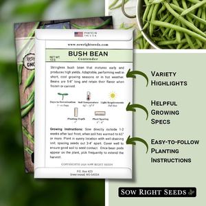 Sow Right <span class=keywords><strong>Contender</strong></span> Bush Green Bean Paquet d'héritage sans OGM Variété sans fil pour jardin potager extérieur - Product Image 2
