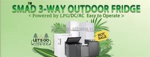 19cuft Upright Refrigerator Gas Fridge With <b>Freezer</b> for Bedroom DDG-540D1* Gas Fridge - Product Image 4