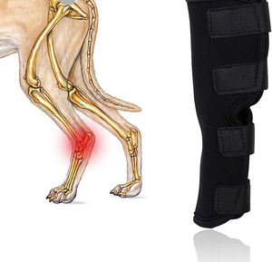 Soporte de Rodilla para Perros, Ortesis de Carpo para Perros, para Lesiones de LCA, Esguinces en Patas Traseras y Delanteras, Soporte de Codo, Almohadilla de Soporte para Mascotas - Product Image 1