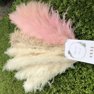 E-3107 Decorazione di Cerimonia Nuziale Del Fiore Conservato Naturale Pieno Pampas Erba - Product Image 2