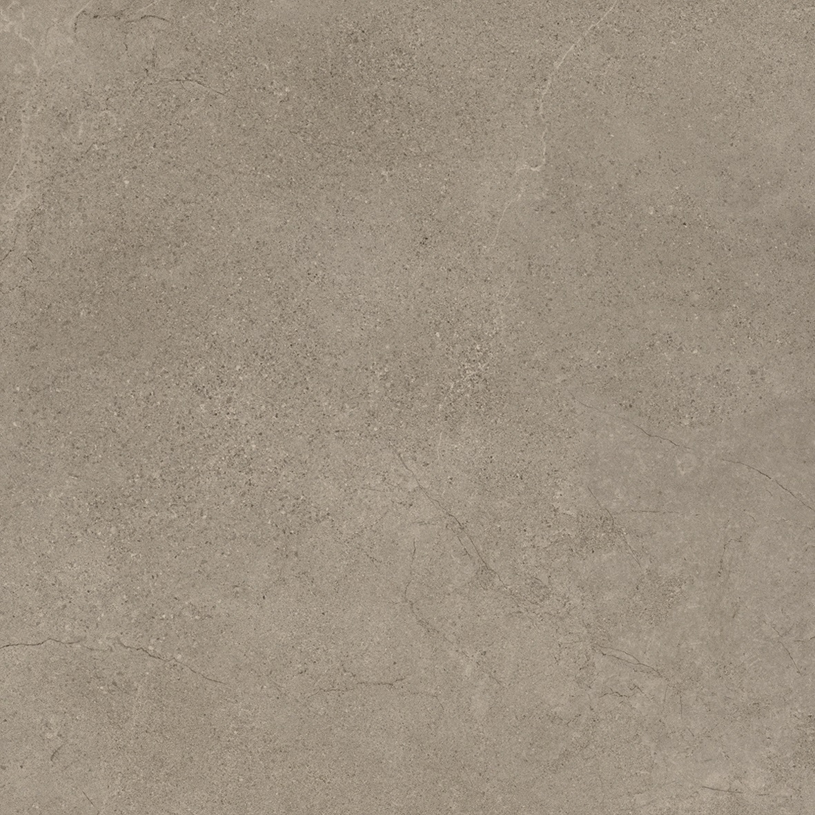 Foshan Hasin Full Body Tile Waterproof Bathroom Rustic Tiles Flooring Popular in Europe