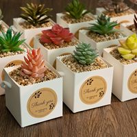Boîtes cadeaux carrées personnalisées en papier kraft avec poignée en corde de coton pour plantes succulentes, cadeaux de mariage, emballages de remerciement, vente en gros