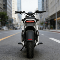 Nouveau modèle de vélo électrique hybride sport rétro 48v Mtb Dirt Chine Batterie au lithium Moped Trail Acheter Super Petits Vélos électriques Mini
