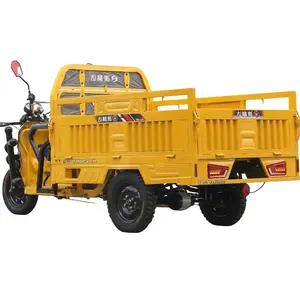 2024 Wholesale 60V 1000W Electric Cargo Tricycles 3 Wheel Heavy Duty Tricycle