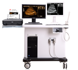 Escáner <span class=keywords><strong>de</strong></span> Ultrasonido Veterinario Tipo Carro con Doble Monitor y Estación <span class=keywords><strong>de</strong></span> Trabajo con Ecografía Doppler a Color - Product Image 1