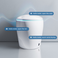 Offre Spéciale WC électrique multifonctionnel Siphonic Toilette Salle de bain Toilette intelligente à fermeture automatique