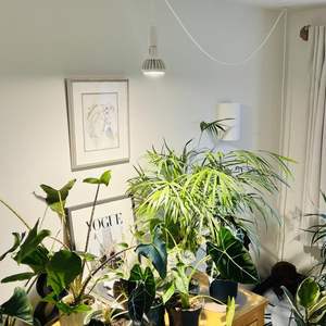 Factory Direct Sale Full Spectrum LED Plant Grow <strong>Light</strong> LED PAR30 <strong>40W</strong> LED Grow <strong>Light</strong> Bulb E26/E27 LED Spotlight for Indoor Plants - Product Image 5