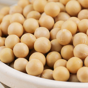 ビーガン協会認定の納豆用乾燥大豆 ビーガンフード 大容量包装 高タンパク質 5kg - Product Image 3