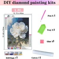 COOLEVE Kit DIY Créatif Japandi Personnalisé 30*40cm Peinture Diamant Carré Acrylique Complet pour Décoration Intérieure