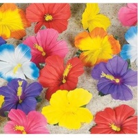 Décoration de table pour fête hawaïenne, fleur d'hibiscus artificielle de 11 cm, polyester écologique, inodore, utilisation en intérieur, salon, haute qualité