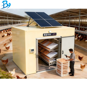 Cella Frigorifera Solare a Congelamento Rapido, Cella Frigorifera Walk-in Alimentata a Energia Solare, Piccolo Sistema di Stoccaggio Refrigerato Solare per Fattoria - Product Image 4