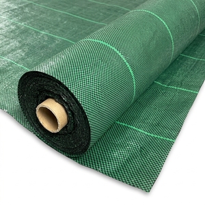 <span class=keywords><strong>Toile</strong></span> tissée <span class=keywords><strong>verte</strong></span> pour couverture agricole, tapis anti-herbe, film de <span class=keywords><strong>paillage</strong></span> pour usage agricole - Product Image 1