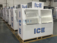Conteneur de stockage pour glaçons avec capacité de 200 sacs, en vente, pour glaçons ensachés en extérieur, glacière, congélateur