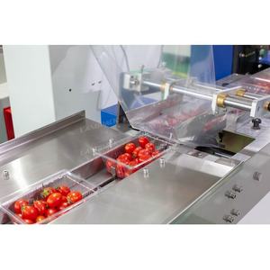 Landpack-LP-450B para embalaje de aguacate, máquina para embalaje de frutas y verduras frescas - Product Image 5