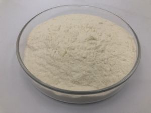 Pó de Enzima <span class=keywords><strong>Nattokinase</strong></span> 12000 FU/<span class=keywords><strong>g</strong></span> <span class=keywords><strong>20000FU</strong></span>/<span class=keywords><strong>g</strong></span> HPLC para Suplemento Alimentar - Product Image 2