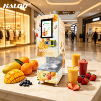 Haloo Indoor Selfservice Vers Fruit Smoothie Automaat Diepvries Fruit Commerciële Smoothie Blender Machine voor Winkels